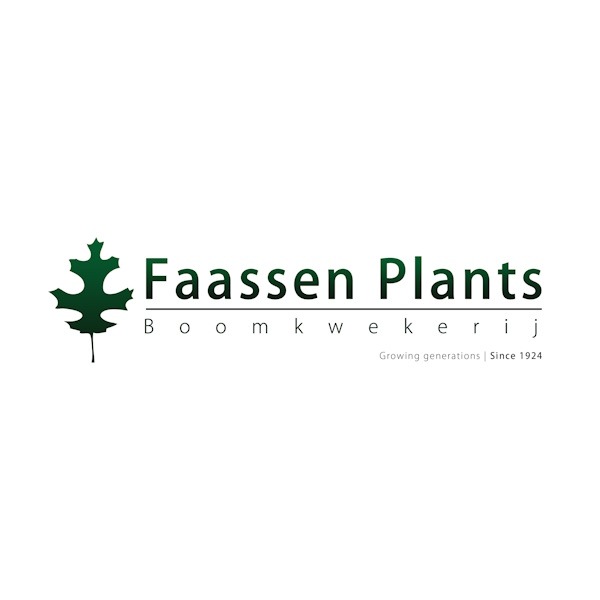 Faassen Plants Boomkwekerij logo