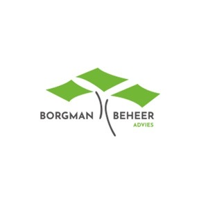 Borgman Beheer Advies logo